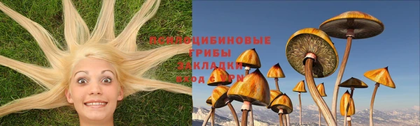 прущий лед Сафоново