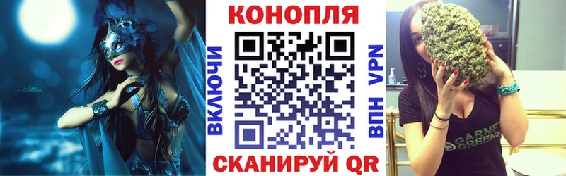Каннабис Bruce Banner  Купить закладки  Алдан 